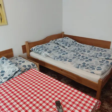 Pensjonat Goscinne Viking *